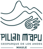 Logo PillanMapu