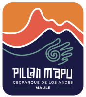 Logo Pillanmapu cubierto grande
